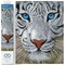 Diamond Dotz White Magic Diamond Painting Kits for Adults - Diamond Art Kits a Relaxing Creative Craft Kit with Dotz Gems 13x16